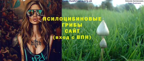 ПСИЛОЦИБИНОВЫЕ ГРИБЫ Белокуриха